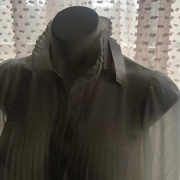 Banana Republic Chiffon Pleated Blouse - Picture 5 of 13